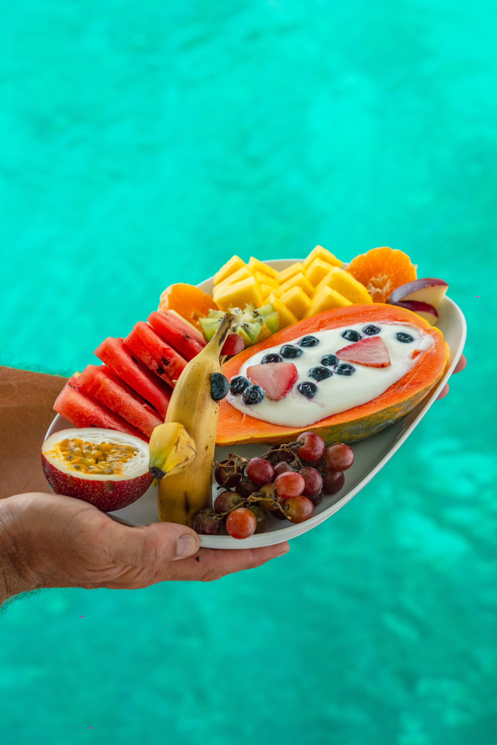 Catamaran Charters in San Blas